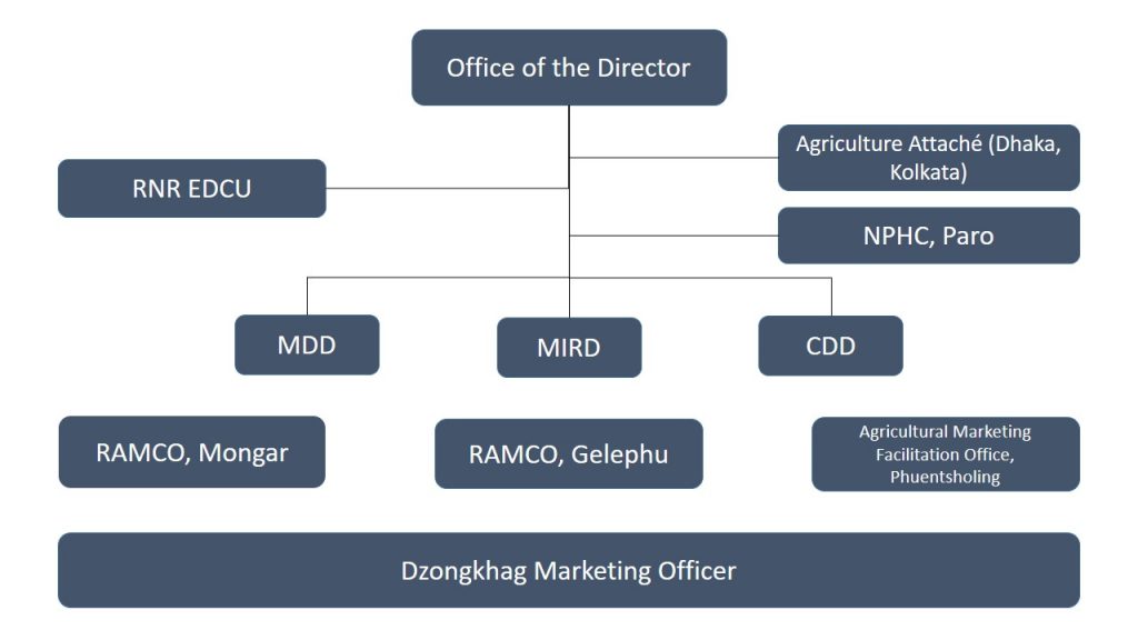 damc-organogram-1024x576